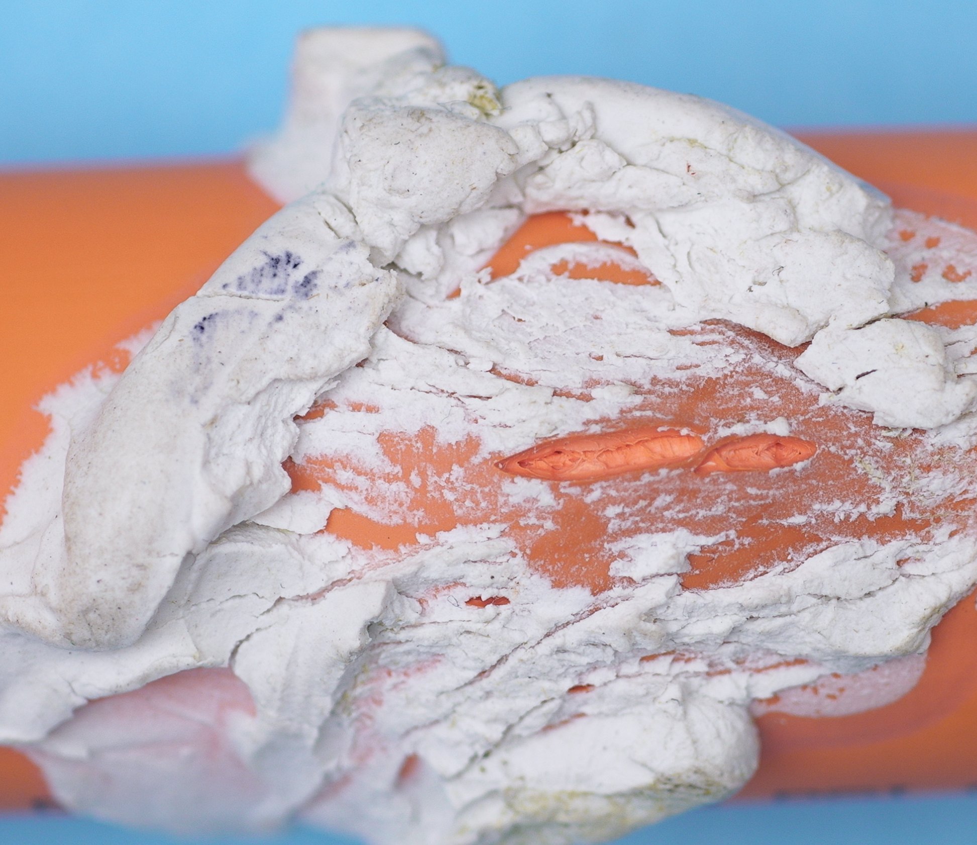CPVC pipe showing severe plasticization damage — pipe wall softened and deformed by chemical contamination